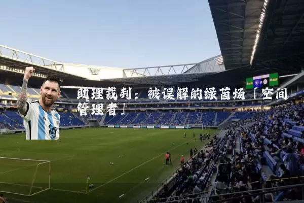 助理裁判：被误解的绿茵场「空间管理者」