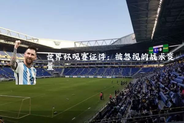 世界杯观赛证件:被忽视的战术变量